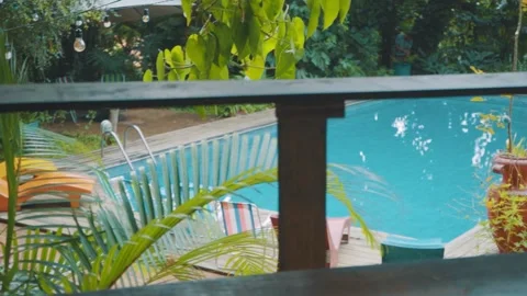 Forest and pool during summer Stock-Footage 151914872