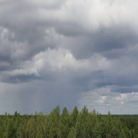 Forest and rain clouds Time lapse Vídeos de archivo 69557963