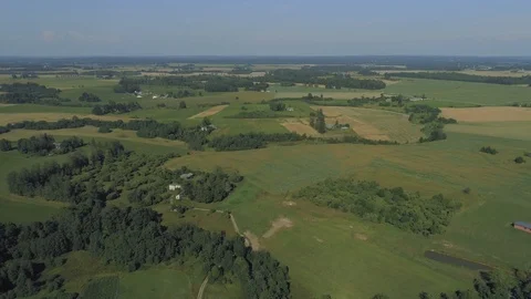 Forest and Rapeseed Fields Drone shot in Europe Latvia Stock-Footage 120317820
