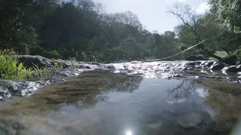 The forest and the reflection Video stock 85739384