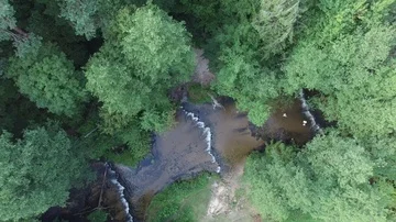 Forest and river, aerial view Stock Footage 85615374