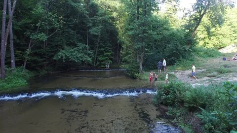 Forest and river, aerial view Stock Footage 85615415