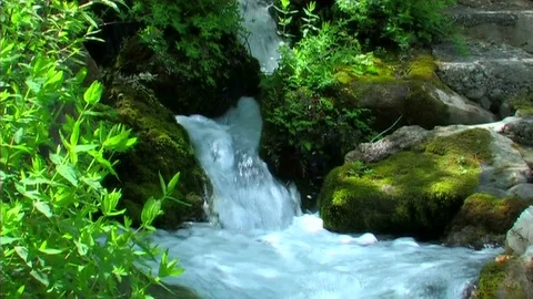 Forest and river, close up of river stream 動画素材 75667906