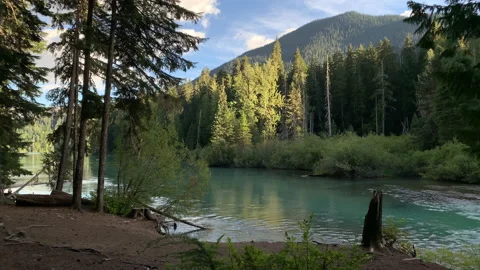 Forest and river flow, northwest Stock Footage 146859702