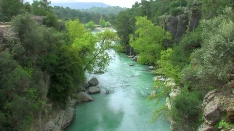 Forest and river 動画素材 75642286