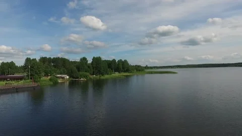 Forest and river Stock Footage 145661281