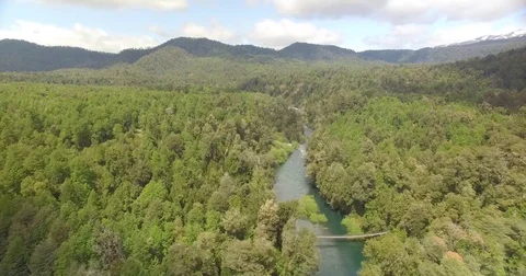 Forest and River - Huilo Huilo Park - Patagonia - Chile 스톡 동영상 78205249