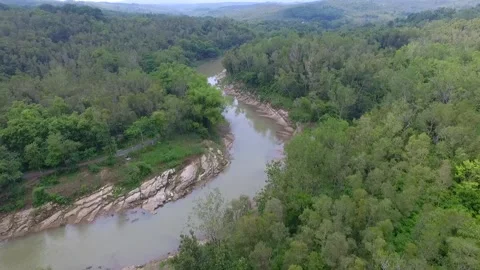 Forest and river with limestone in riverside view from above by drone Stock Footage 157995280