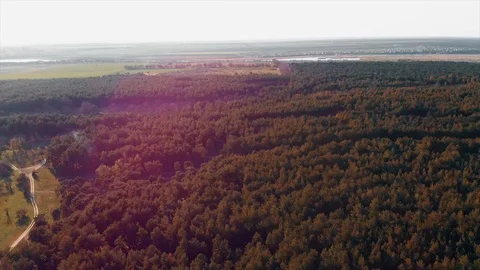 Forest and River. Panoramic View 库存影片 106782361