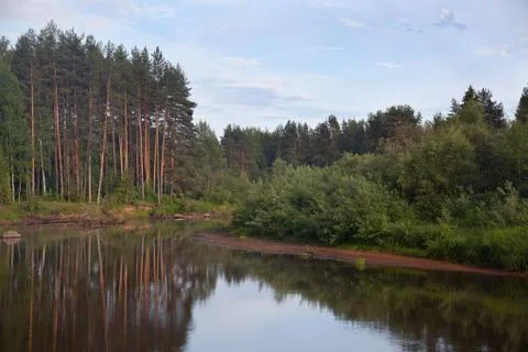Forest and river Stock Photos