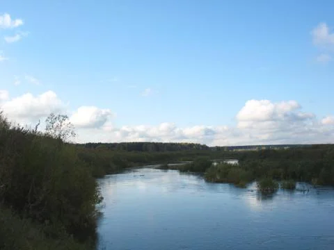 Forest and river Stock Photos