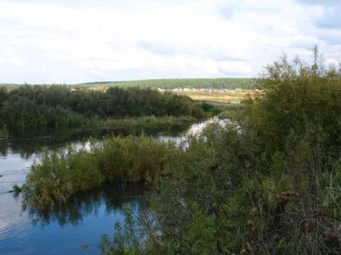 Forest and river Stock Photos