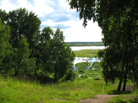 Forest and river Stock Photos