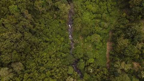Forest and river 写真素材