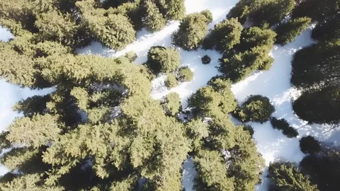 Forest and river from the sky Stock Footage 89454106