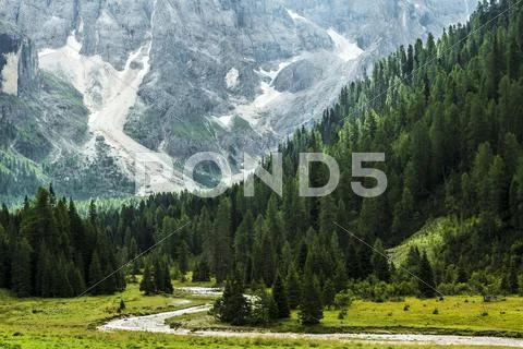 Forest and river in the valley, Dolomiti - Italy Stock Photos