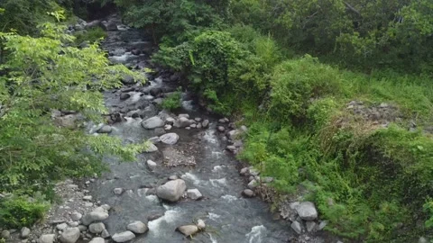 Forest and river video angle from above Video stock 237415782