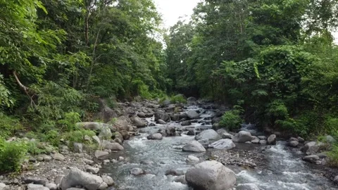 Forest and river video angle from above Video stock 237415923