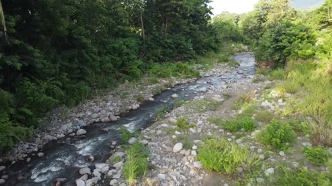 Forest and river video angle from above Video stock 237418753