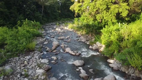 Forest and river video angle from above Video stock 237418799
