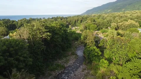 Forest and river video angle from above Video stock 237418814