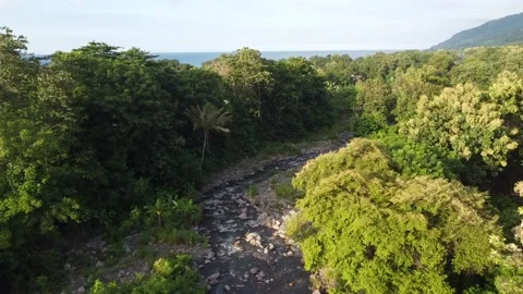 Forest and river video angle from above Video stock 237418815