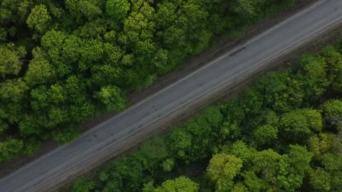 Forest and road 104 Stock Footage 155699624