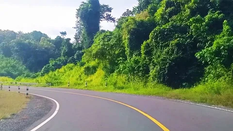 Forest and Road View 스톡 동영상 308688076