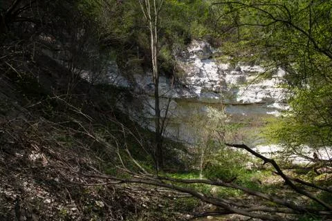 Forest and rock. Stock Photos