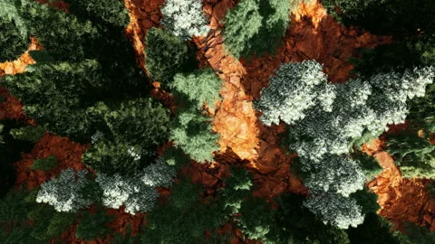 Forest and rocks top view animation Stock Footage 143470252