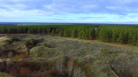 Forest and sandy road Video stock 99544251