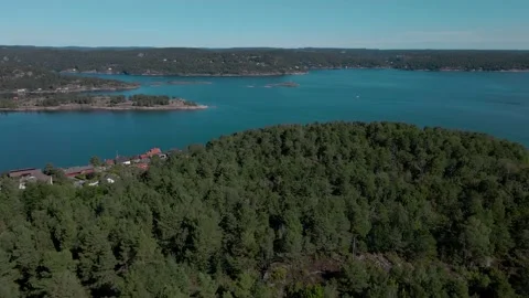 Forest and sea drone Stock Footage 163062844
