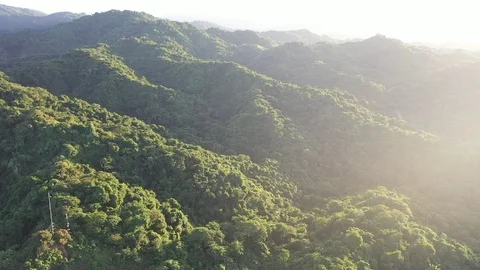 Forest and sea 動画素材 122628079