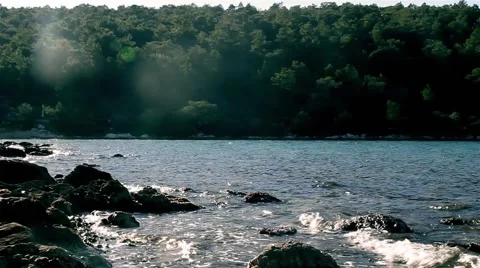 Forest and Sky 6 스톡 동영상 39959187