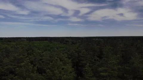 Forest and sky from drone Stock Footage 140032118