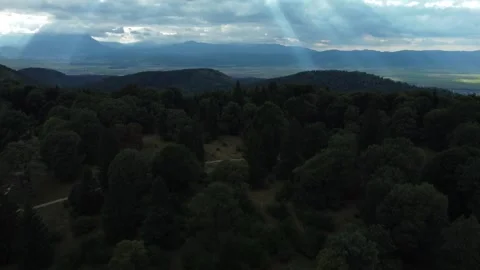 Forest and skyline from drone view Stock Footage 297253501