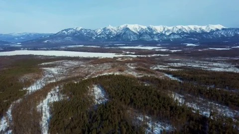 Forest and a small lake from a bird's eye view Stock Footage 128830778