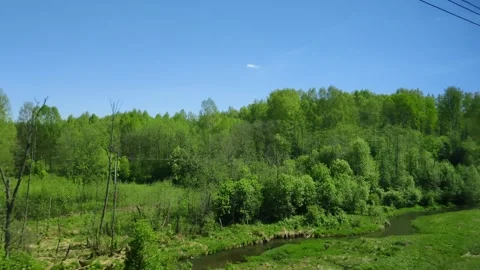 Forest and small river along railway track. View from train window. Passing Видео 313302029