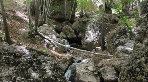 Forest and small waterfall in Ghalat mountains. Iran 스톡 동영상 33633059