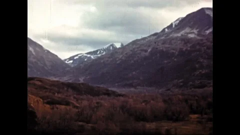 Forest And Snow Covered Mountain Landscape In Alaska Vídeos de archivo 104882855