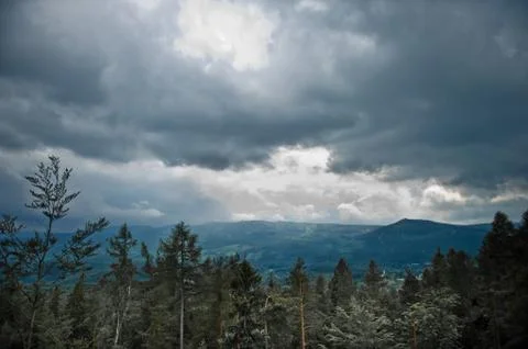 Forest and stormy clouds Stock Photos