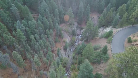 Forest and Stream down tilt Stock Footage 84956681