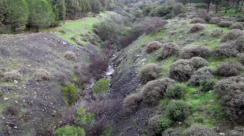 Forest and Stream Vídeos de archivo 56109945