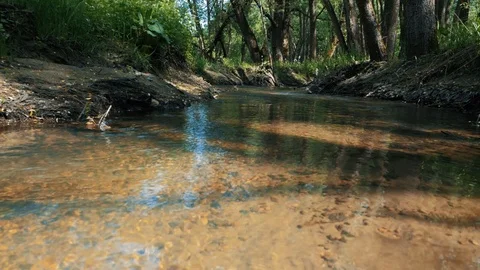 Forest and stream Stock Footage 89883783