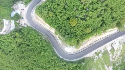 Forest and Street Video stock 210321318