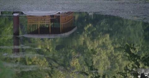 Forest and structure reflected in a puddle Stock Footage 91894764