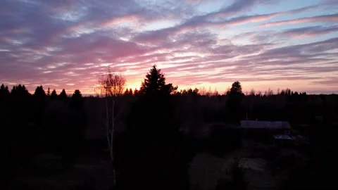 Forest and stunning sky at sunset. The drone's camera is moving up. Stock Footage 196511949
