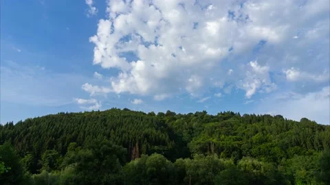 Forest and Summer Sky Timelapse Stock Footage 211097271