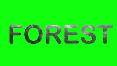 Forest and text on green background Stock Footage 116107839