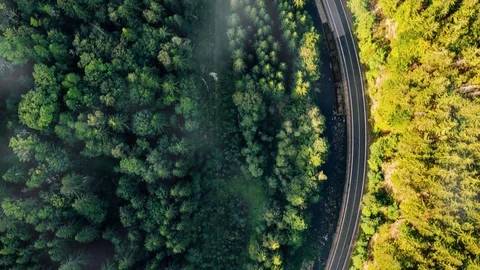Forest and train serenity. drone shot from top Stock Footage 121867952
